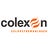 COLEXON Energy AG, profile picture