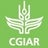 CGIAR Research Program on Dryland Systems, profile picture