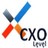 CXO Level, profile picture