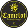 Camelot International Health Organization, profile picture