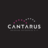 Cantarus, profile picture