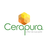 Cerapura, profile picture