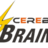 Cerebra Braintech, profile picture