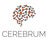 Cerebrum, profile picture
