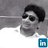 Chandan D, profile picture