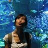 Chuan Min Profile