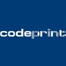 Codeprint Soluçoes em Identificaçao e Captura de Ddos, profile picture