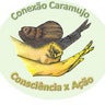 ConexaoCaramujo, profile picture