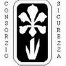Consorzio Sicurezza Gruppo Iris, profile picture