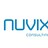 Nuvix Consulting, profile picture