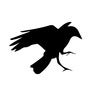 Crow Digital Marketing, profile picture