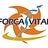 Força Vital, profile picture