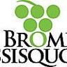 MRC et CLD de Brome-Missisquoi, profile picture