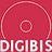 DIGIBIS, profile picture