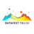DataFest Tbilisi, profile picture