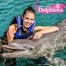 Delphinus Swim with Dolphins, profile picture