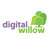 Digital Willow, profile picture