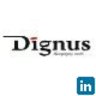 Dignus Consulting Pvt.Ltd, profile picture