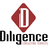 Diligence Consulting Services, profile picture