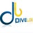 Divelog, profile picture