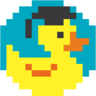 Duckademy IT courses, profile picture