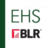 Environmental, Health, & Safety (EHS) team at BLR