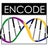 ENCODE-DCC, profile picture