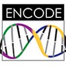 ENCODE-DCC, profile picture