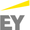 EY Argentina, profile picture