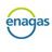 Enagás, profile picture