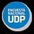 Encuesta Nacional UDP, profile picture