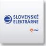 Slovenské elektrárne, a subsidiary of Enel Group, profile picture