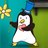 Penguin, profile picture
