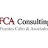 FCA Consulting, profile picture