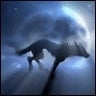 SlideShare profile picture for @fenrir