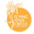 Flying Fenix Circus, profile picture