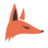 FoxMetrics, profile picture