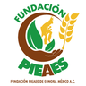 Fundación PIEAES de Sonora México, A.C., profile picture