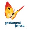Gas Natural Fenosa Panamá, profile picture