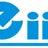 Engineers Institute of India, profile picture