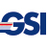 GSI GROUP S.p.A., profile picture