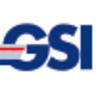 GSI GROUP S.p.A., profile picture