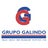 GrupoGalindo, profile picture