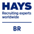 Hays Brasil, profile picture