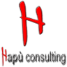 Hapù consulting, profile picture