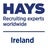 Hays Ireland, profile picture