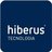 Hiberus Tecnologia, profile picture