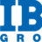 IBA Group, profile picture