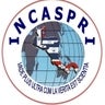 Instituto Centroamericano Seguridad Privada, profile picture
