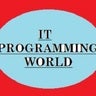 IT PROGRAMMING WORLD